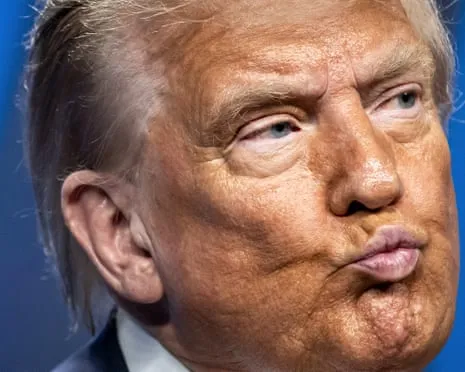 Trump vs Reality Review: Few Channel Would Dare TV So Daring (while also) Exhausting