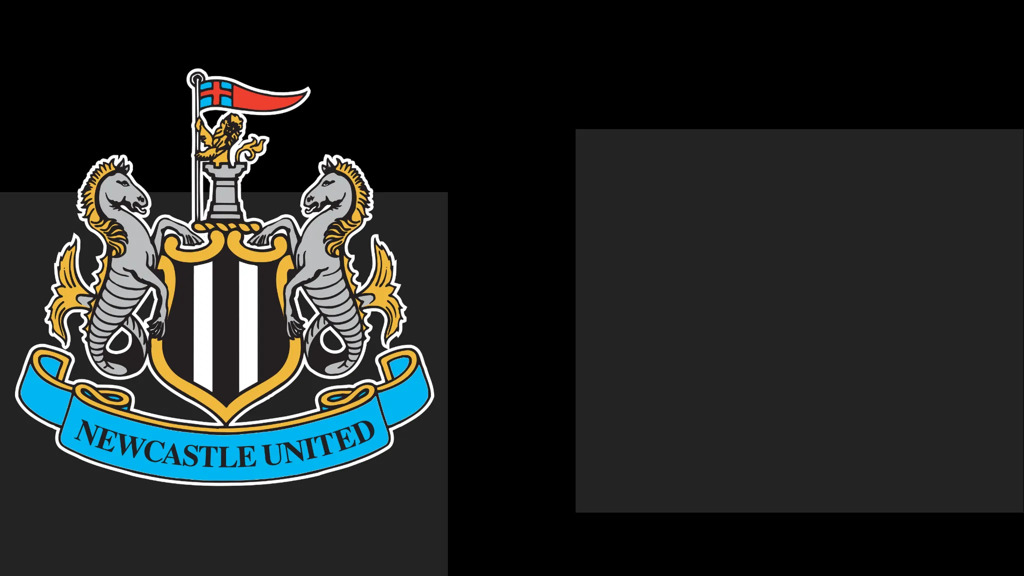 Newcastle's boss Commends Team's Determination – However That Only Carries Them So Far