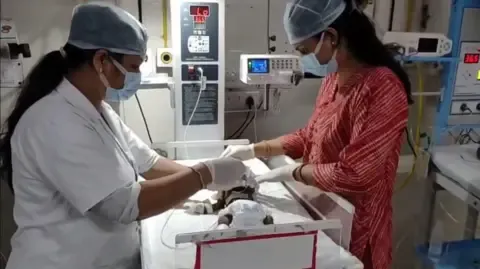 Baby Interred Living in the Country Fights for Survival