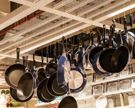 PTFE Nutrition, Garlic Milk and Striped Cattle Triumph at 2025 Alternative Science Prizes