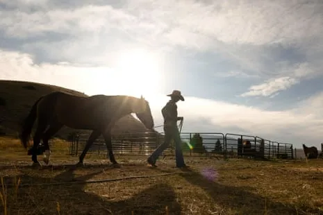 Meet the US Cowgirls Redefining Modern Farm Life