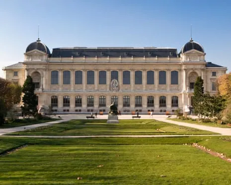 Invaluable Golden Samples Taken in Audacious Heist at France's Natural History Museum